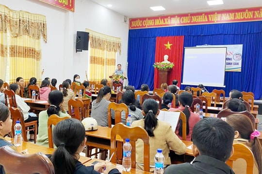 Chuyển giao kỹ thuật nuôi heo sinh sản theo chuỗi liên kết cho người dân Nông Sơn