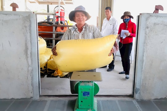 HTX Nông nghiệp Duy Hòa 2: “Bà đỡ” của nông dân