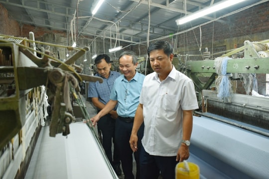 Quảng Nam thúc đẩy phát triển kinh tế hợp tác