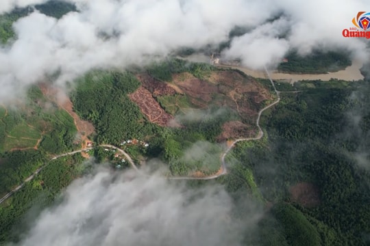 Phát huy nguồn tài chính dưới tán rừng