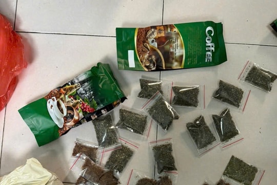 Tạm giữ tài xế ở Hội An mua bán “cỏ Mỹ” trái phép