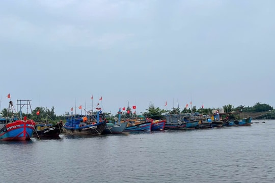 Quảng Nam tạm dừng xuất bến các phương tiện tàu thuyền ứng phó với bão