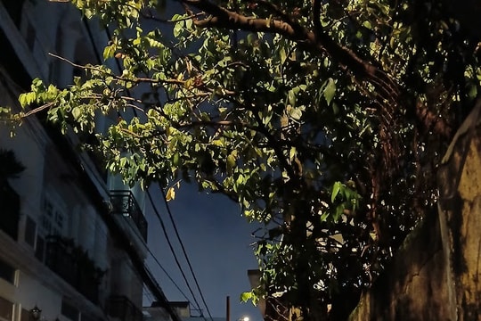 Tiếng rao đêm trong lòng thành phố