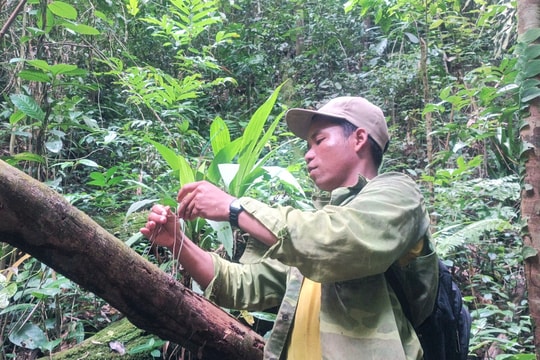 Người dân vùng cao Quảng Nam chung tay bảo vệ động vật hoang dã