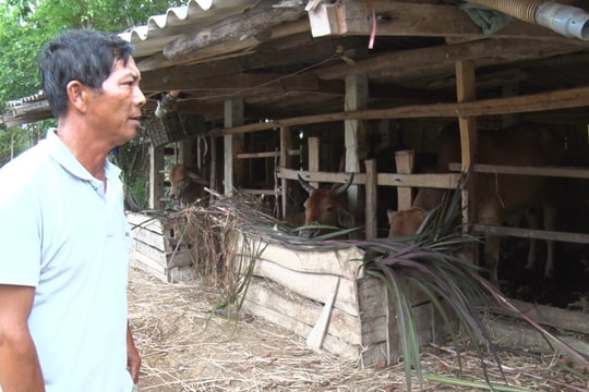 Tam Kỳ thiết thực hỗ trợ giảm nghèo bền vững