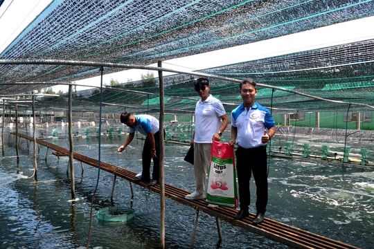 Tổng giá trị xuất khẩu thủy sản Việt Nam 10 tháng đạt 8,33 tỷ USD