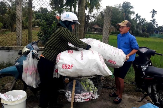 Dưa gang cuối vụ được giá