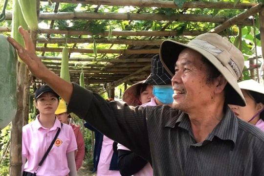 Năm 2024, giá trị sản xuất nông - lâm - thủy sản của Hội An đạt gần 991 tỷ đồng