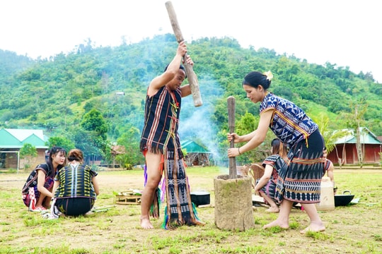 Người Cơ Tu miền tây xứ Quảng mừng hội lúa mới