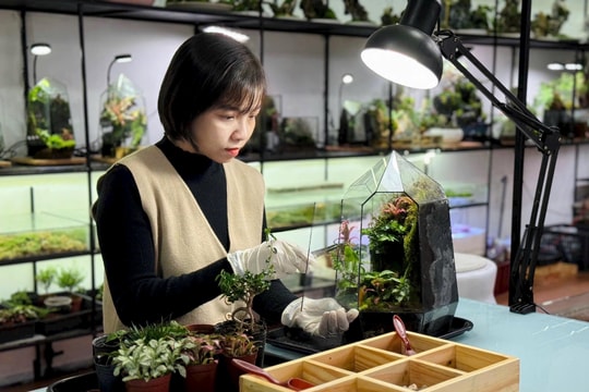 Sống xanh với nghệ thuật Terrarium