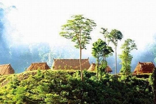 Đề xuất chính sách hỗ trợ về đất đai đối với đồng bào dân tộc thiểu số