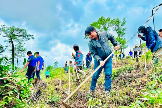 Miền núi vào mùa trồng rừng