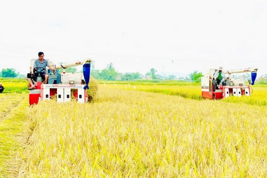 Giao hòa núi, đồng, sông, biển...