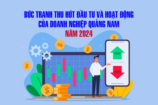 Bức tranh thu hút đầu tư và hoạt động của doanh nghiệp Quảng Nam năm 2024