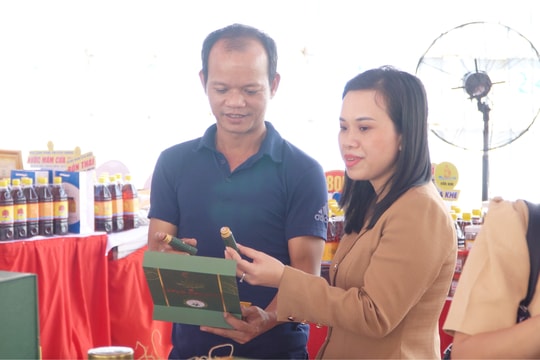 Đưa sản phẩm Quảng Nam tiếp cận thị trường Nhật Bản