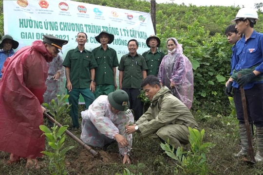 Thăng Bình trồng 400 cây lim xanh tại thôn Cao Ngạn