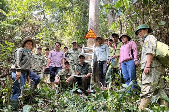 Phước Sơn nỗ lực giữ rừng