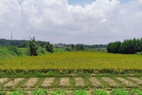 Quy định tiêu chí, điều kiện chuyển mục đích sử dụng đất dưới 2ha