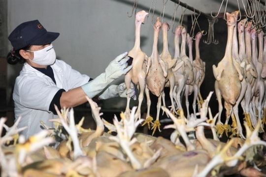 Đại Lộc tăng cường quản lý kiểm soát cơ sở giết mổ nhỏ lẻ