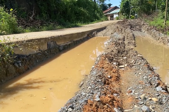 Bắc Trà My sớm đầu tư tuyến ĐH8 (đoạn Trà Đốc - Trà Bui)