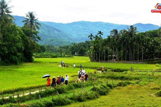 [VIDEO] - Từ phong trào xây dựng thôn nông thôn mới kiểu mẫu đến những miền quê Quảng Nam đáng sống