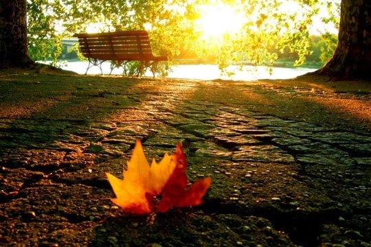 [Podcast] - Mùa đông thầm thì