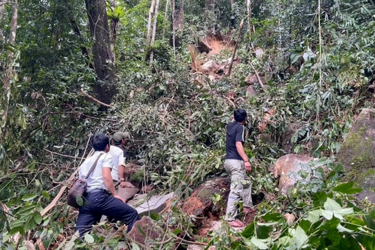 Cấp thiết ổn định chỗ ở cho người dân làng Tu Hon