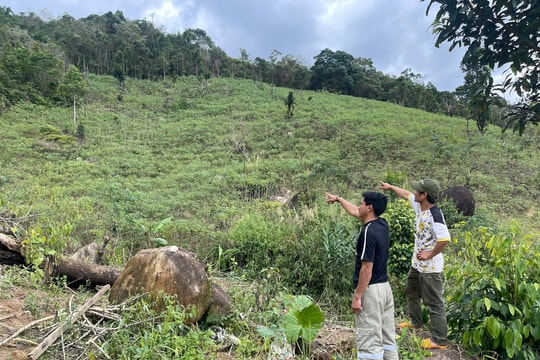 Sống với thất thường của núi