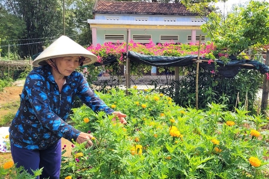 [Podcast] - Vườn hoa của mẹ