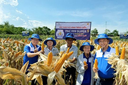 Điện Bàn nỗ lực nâng chuẩn nông thôn mới