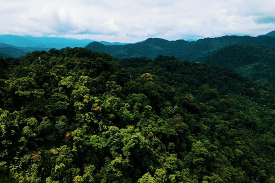 Vì lợi ích chung, Quảng Nam quán triệt giảm nhẹ phát thải khí nhà kính