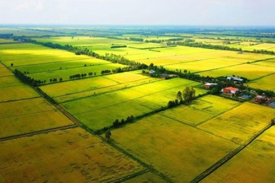 Quy định về trình tự, thủ tục cho thuê quỹ đất ngắn hạn trên địa bàn Quảng Nam