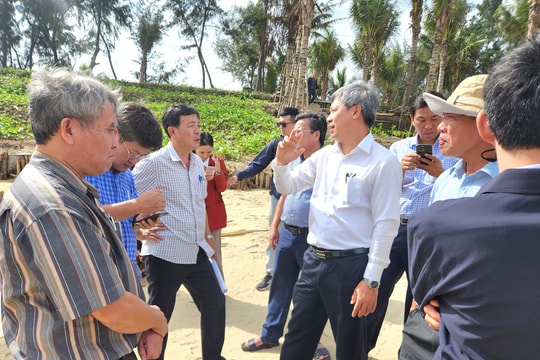 Lãnh đạo tỉnh kiểm tra sạt lở tại bãi biển Tân Thành (Hội An)