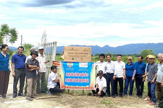 Cô gái Quảng mê làm nông nghiệp hữu cơ