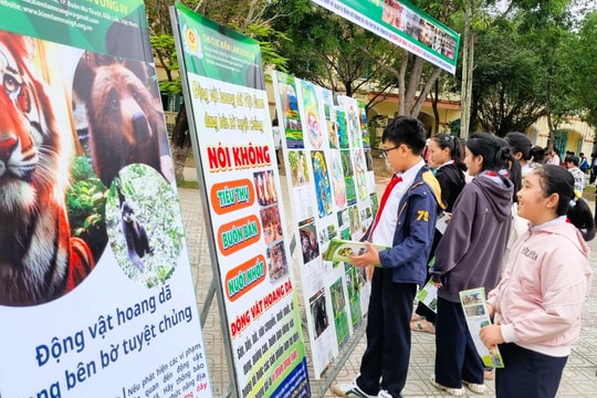 Nâng cao ý thức bảo vệ rừng cho học sinh Quảng Nam