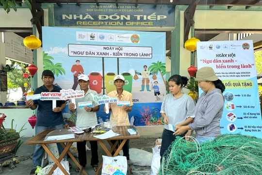 Khu dự trữ sinh quyển thế giới Cù Lao Chàm - Hội An: Bồi đắp hệ sinh thái, thích ứng tương lai