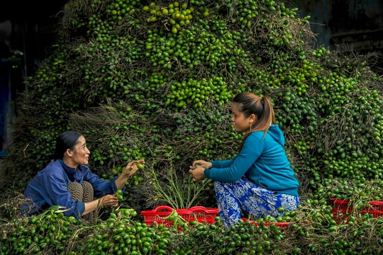 Núi Thành phấn đấu không còn hộ nghèo