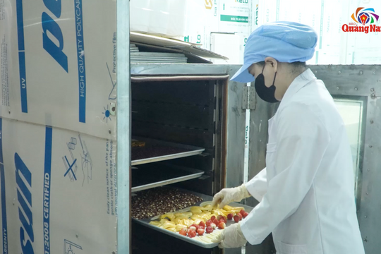 Người sáng tạo ngũ cốc trái cây