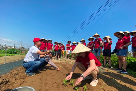 Nhiều nội dung quan trọng tại Hội nghị quốc tế về Du lịch nông thôn lần thứ nhất