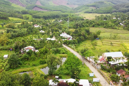 Hiệu quả giảm nghèo từ những vườn cây ăn quả ở xã Trà Tân