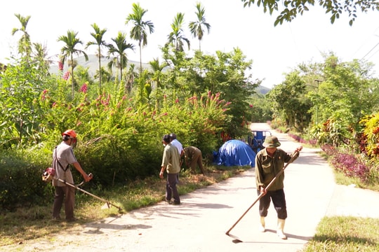 Cựu chiến binh huyện Tiên Phước giúp nhau phát triển kinh tế