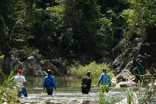 Sinh kế dưới tán rừng