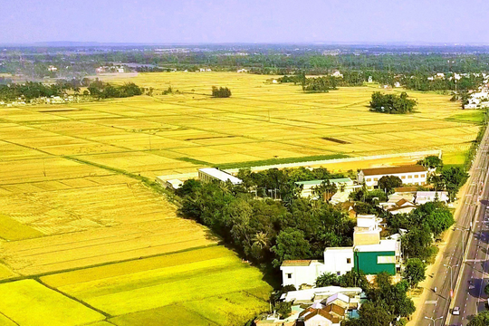 Huyện Núi Thành có 29 thôn nông thôn mới kiểu mẫu