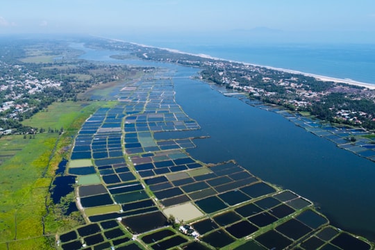 Thời cơ chín muồi của vùng Đông