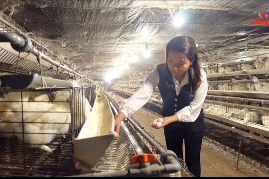 [VIDEO] - Trứng gà ác Hảo Nhân và giải thưởng Lương Định Của năm 2024