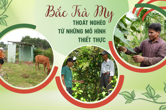 Bắc Trà My thoát nghèo từ những mô hình thiết thực