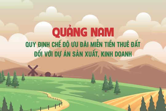 Quảng Nam quy định chế độ ưu đãi miễn tiền thuê đất đối với dự án sản xuất, kinh doanh