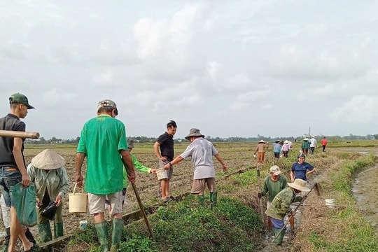 Xã Quế Phú tổ chức hội thi diệt chuột bảo vệ mùa màng