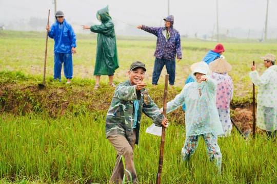 Duy Xuyên phát động ra quân diệt chuột