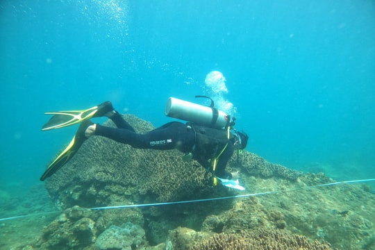 Áp lực đa dạng sinh học biển Cù Lao Chàm